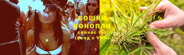 гидра Арсеньев