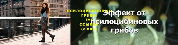 прущий лед Аркадак