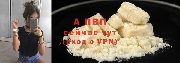 гидра Арсеньев