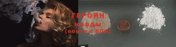 гидра Арсеньев