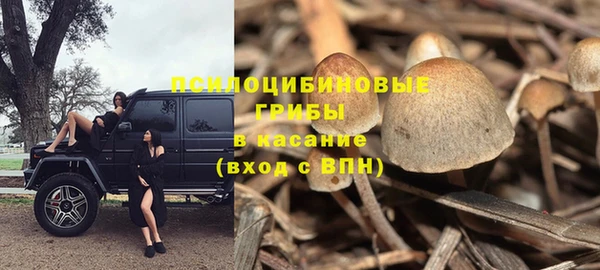 прущий лед Аркадак