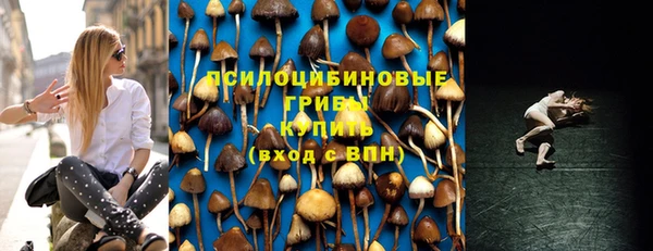 твердый Армянск