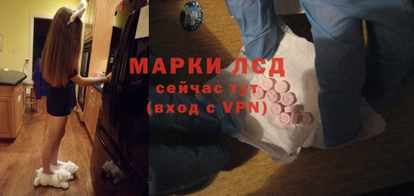 гидра Арсеньев